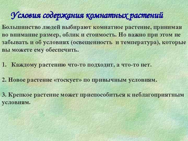 Условия содержания комнатных растений Большинство людей выбирают комнатное растение, принимая во внимание размер, облик