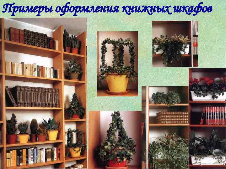 Примеры оформления книжных шкафов 