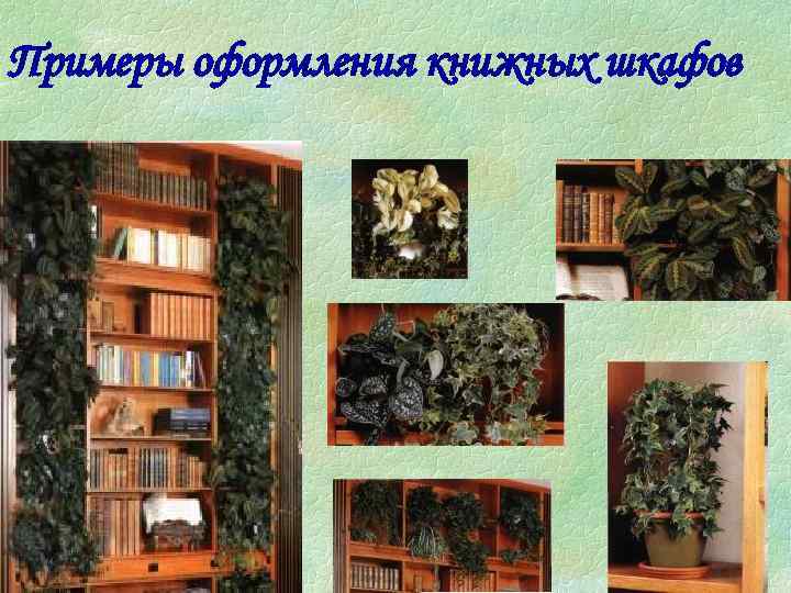 Примеры оформления книжных шкафов 
