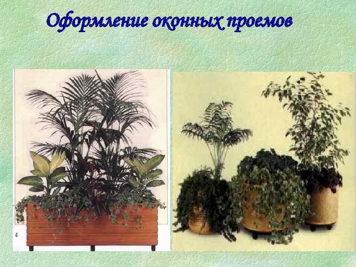 Оформление оконных проемов 