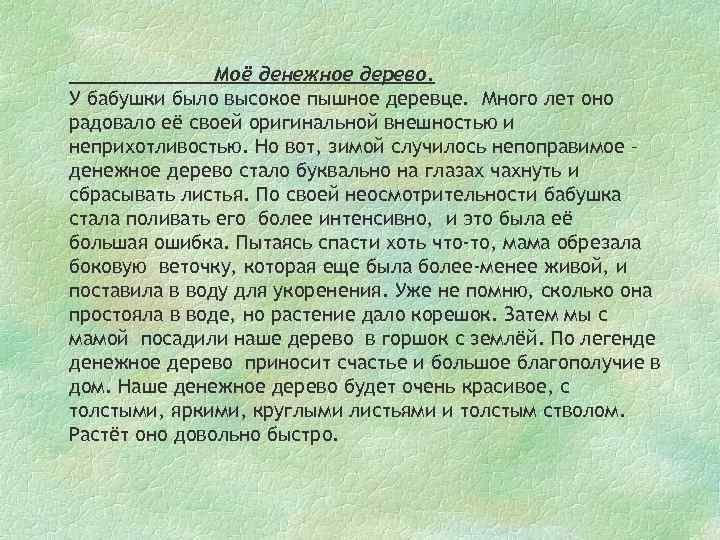 Моё денежное дерево. У бабушки было высокое пышное деревце. Много лет оно радовало её