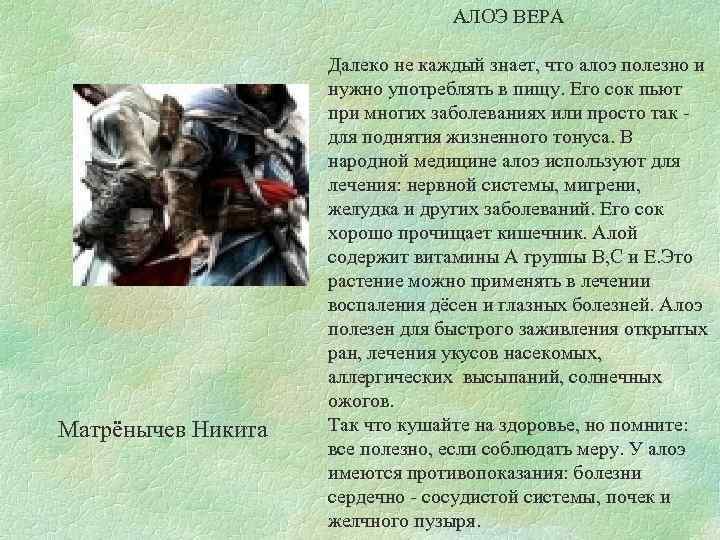  АЛОЭ ВЕРА Матрёнычев Никита Далеко не каждый знает, что алоэ полезно и нужно