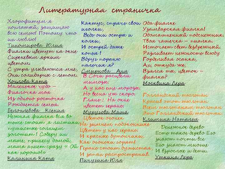 Литературная страничка Хлорофитум я Кактус, спрячь свои Ода фиалке хохлатый, защищаю иголки, Узамбарская фиалка!