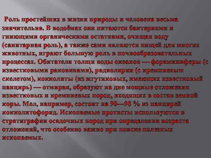  Роль простейших в жизни природы и человека весьма значительна. В водоёмах они питаются