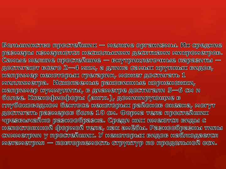 Большинство простейших — мелкие организмы. Их средние размеры измеряются несколькими десятками микрометров. Самые мелкие