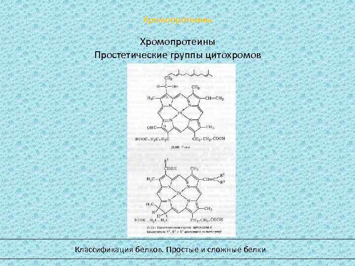 Цитохромоксидаза схема строения