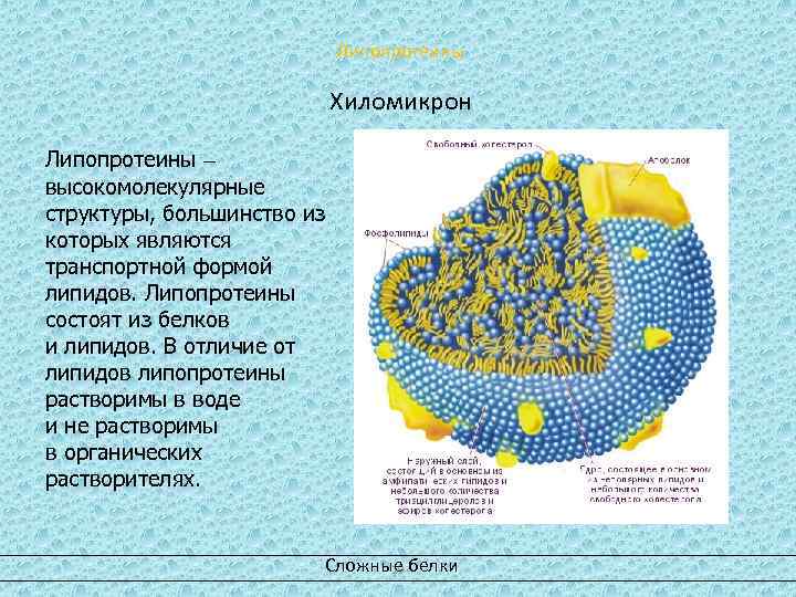 Большинство структура