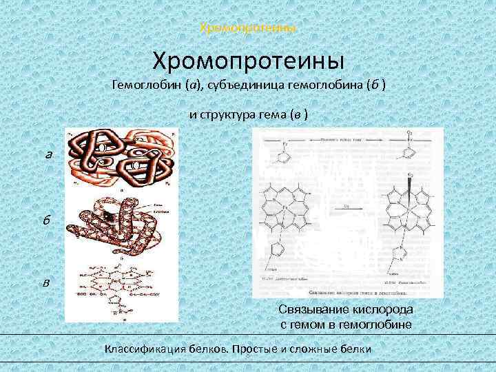 Схема белков