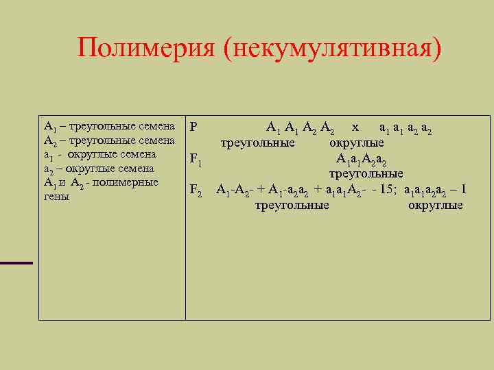 Полимерия (некумулятивная) А 1 – треугольные семена А 2 – треугольные семена а 1