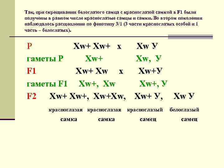 Так, при скрещивании белоглазого самца с красноглазой самкой в F 1 были получены в