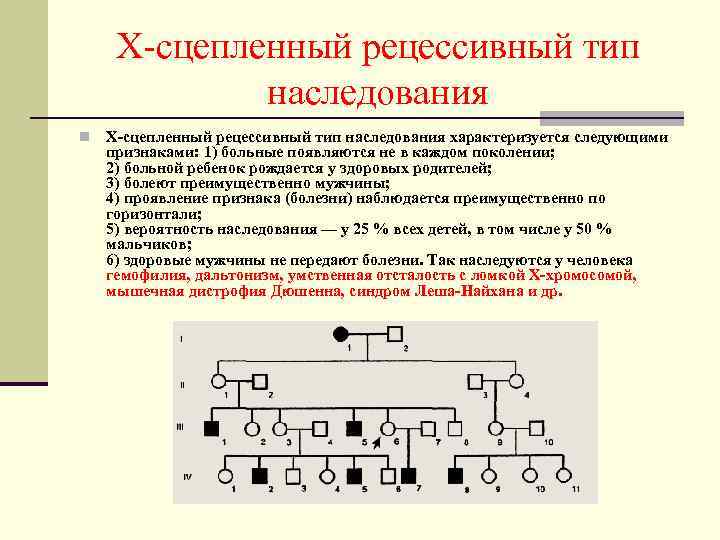 Х-сцепленный рецессивный тип наследования n Х-сцепленный рецессивный тип наследования характеризуется следующими признаками: 1) больные