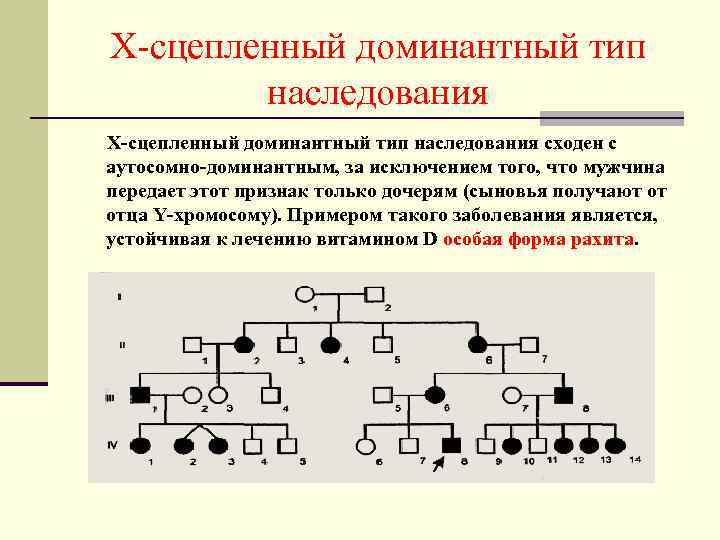 Х-сцепленный доминантный тип наследования сходен с аутосомно-доминантным, за исключением того, что мужчина передает этот