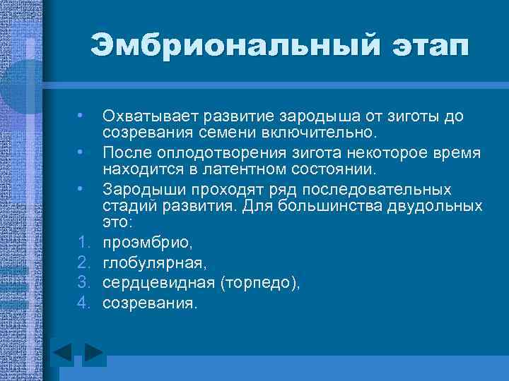 Эмбриональный этап • • • 1. 2. 3. 4. Охватывает развитие зародыша от зиготы