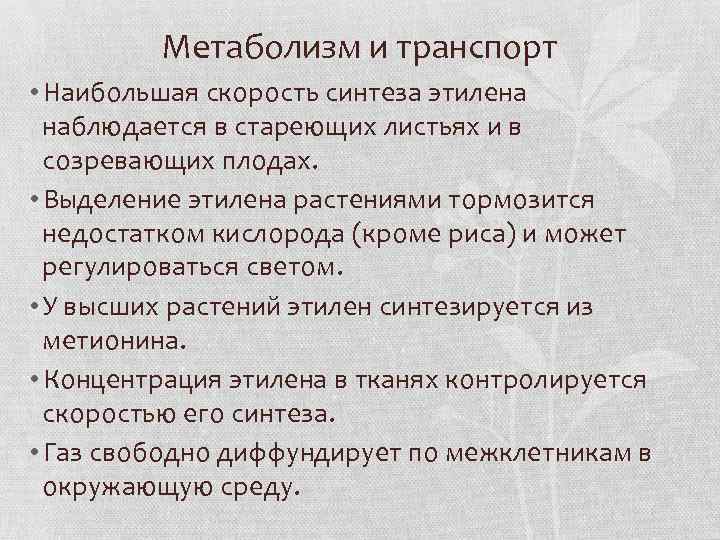 Метаболизм и транспорт • Наибольшая скорость синтеза этилена наблюдается в стареющих листьях и в