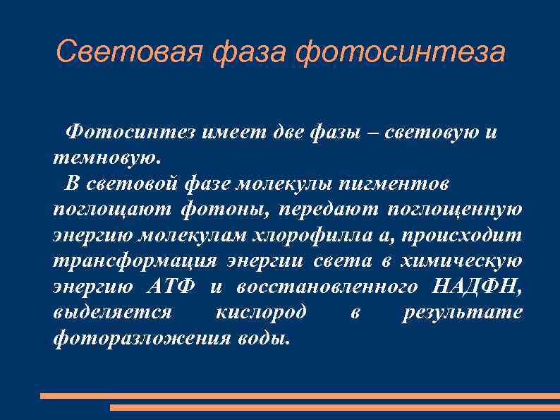 Световая фаза фотосинтеза Фотосинтез имеет две фазы – световую и темновую. В световой фазе