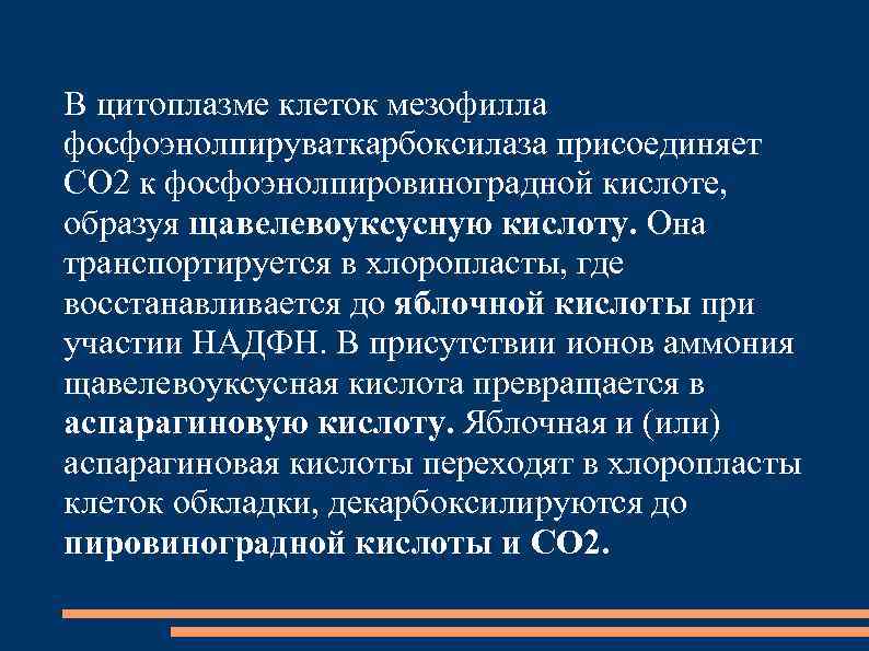 В цитоплазме клеток мезофилла фосфоэнолпируваткарбоксилаза присоединяет СО 2 к фосфоэнолпировиноградной кислоте, образуя щавелевоуксусную кислоту.
