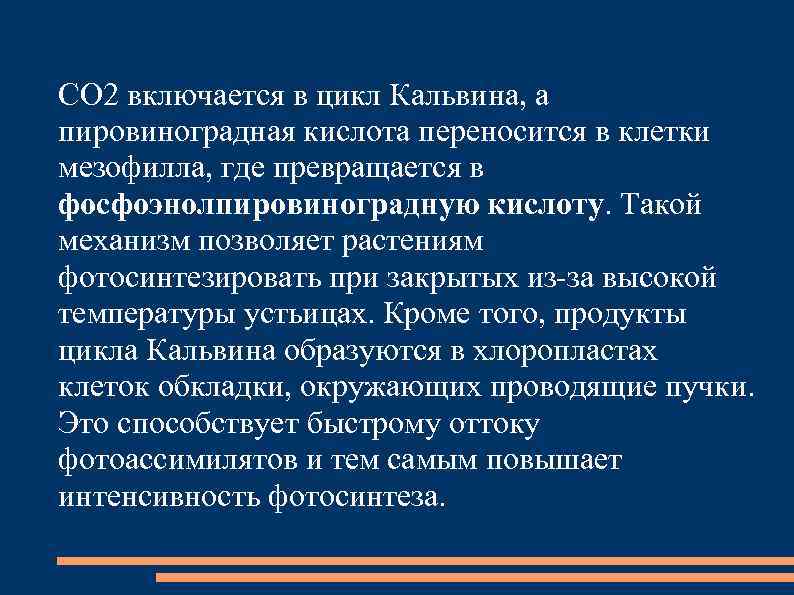 СО 2 включается в цикл Кальвина, а пировиноградная кислота переносится в клетки мезофилла, где