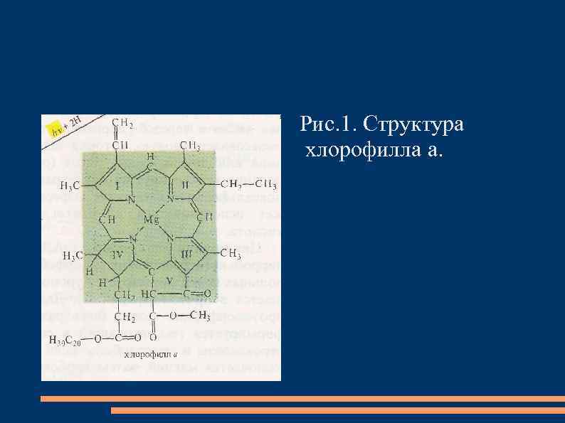 Рис. 1. Структура хлорофилла а. 