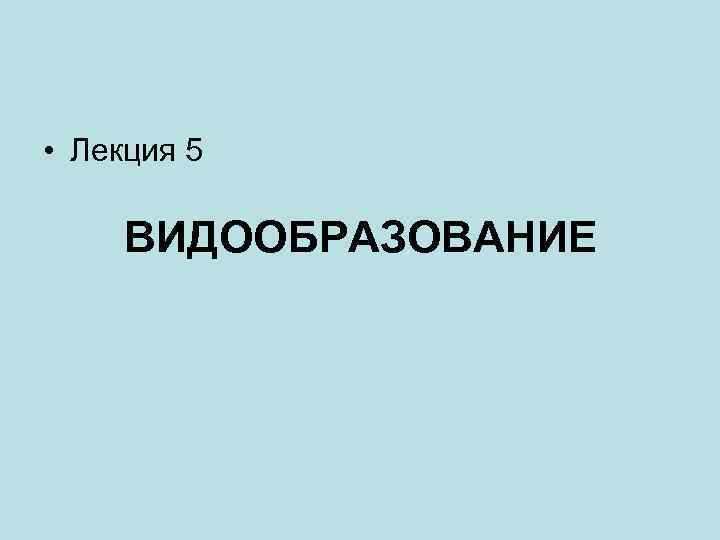  • Лекция 5 ВИДООБРАЗОВАНИЕ 