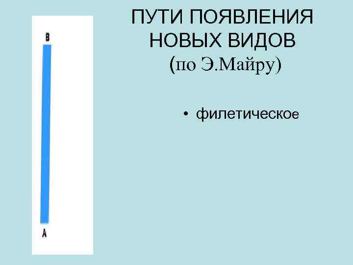 ПУТИ ПОЯВЛЕНИЯ НОВЫХ ВИДОВ (по Э. Майру) • филетическое 