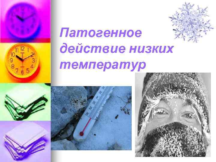 Патогенное действие низких температур 