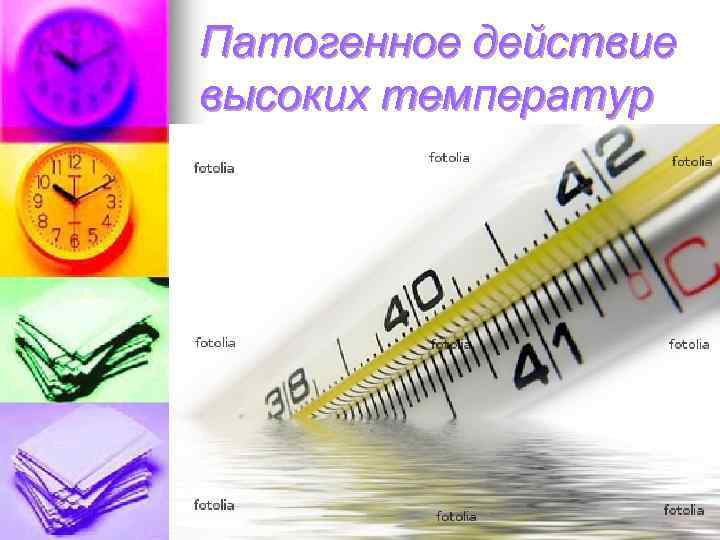 Патогенное действие высоких температур 