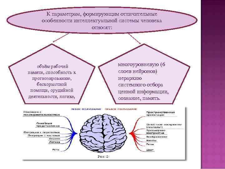 Характеристики интеллекта. Характеристика интеллекта человека. Особенности интеллектуальной системы человека. Интеллектуальные характеристики личности. Интеллектуальные особенности человека.