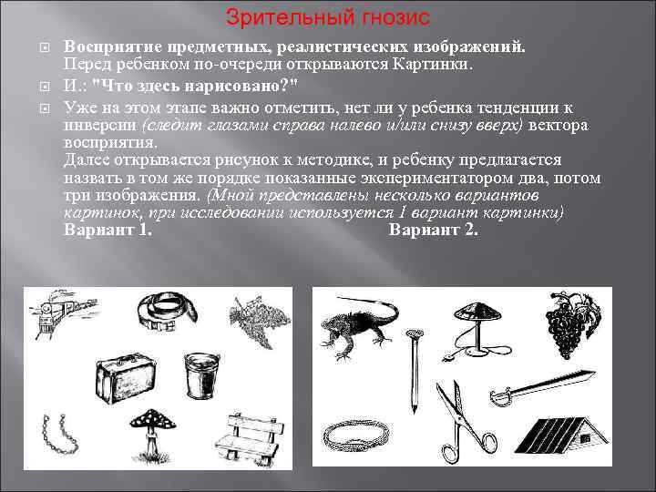 Зрительный гнозис Восприятие предметных, реалистических изображений. Перед ребенком по-очереди открываются Картинки. И. : "Что