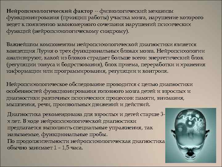 Кто разработал нейропсихологические методы исследования детей под руководством а р лурия 1902 1977