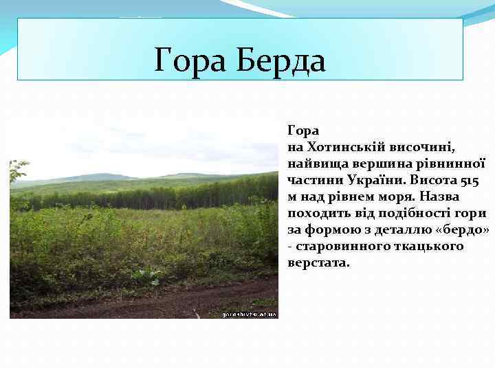 Гора Берда Гора на Хотинській височині, найвища вершина рівнинної частини України. Висота 515 м