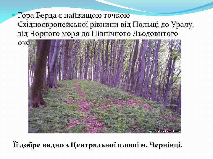  Гора Берда є найвищою точкою Східноєвропейської рівнини від Польщі до Уралу, від Чорного