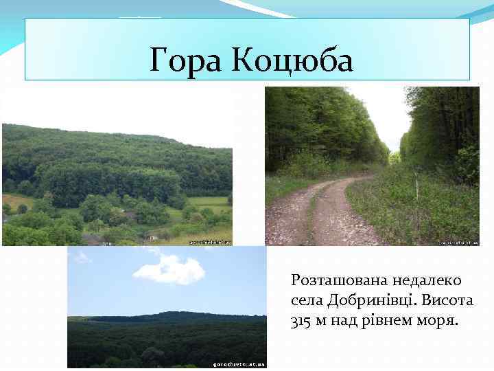 Гора Коцюба Розташована недалеко села Добринівці. Висота 315 м над рівнем моря. 