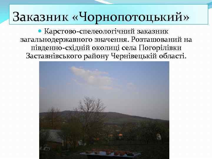 Заказник «Чорнопотоцький» Карстово-спелеологічний заказник загальнодержавного значення. Розташований на південно-східній околиці села Погорілівки Заставнівського району