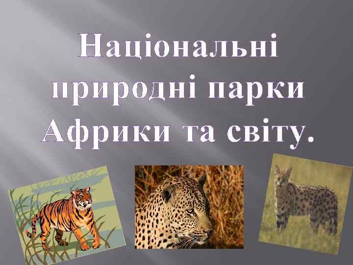 Національні природні парки Африки та світу. 