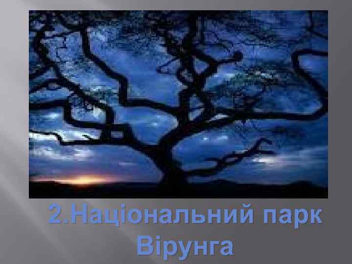 2. Національний парк Вірунга 