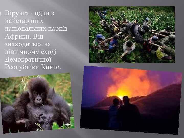  Вірунга - один з найстаріших національних парків Африки. Він знаходиться на північному сході