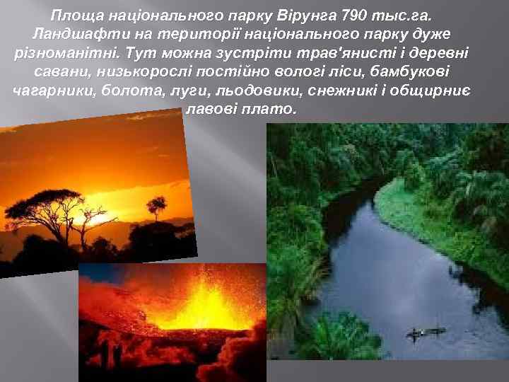 Площа національного парку Вірунга 790 тыс. га. Ландшафти на території національного парку дуже різноманітні.