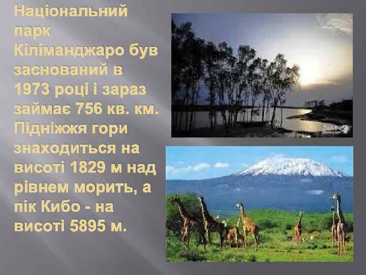 Національний парк Кіліманджаро був заснований в 1973 році і зараз займає 756 кв. км.