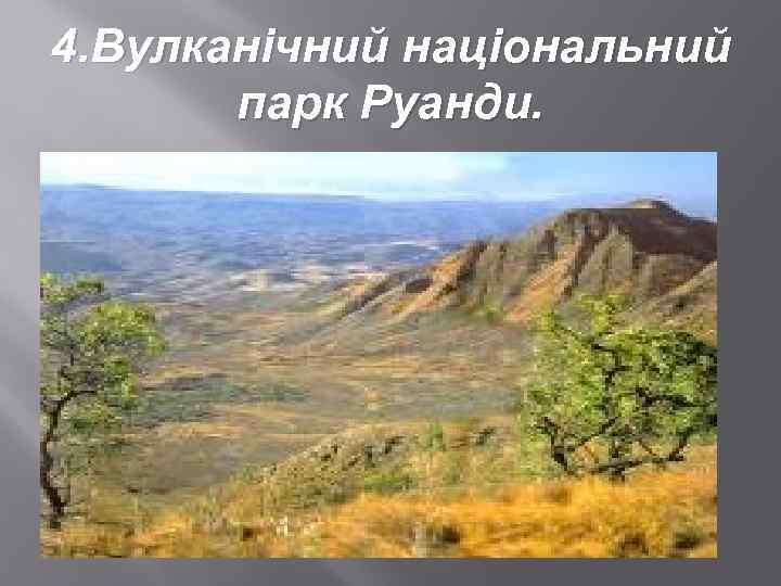 4. Вулканічний національний парк Руанди. 