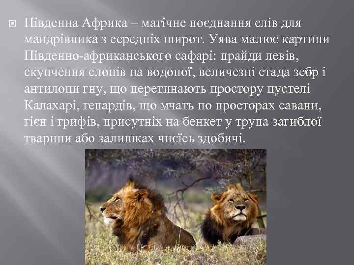  Південна Африка – магічне поєднання слів для мандрівника з середніх широт. Уява малює