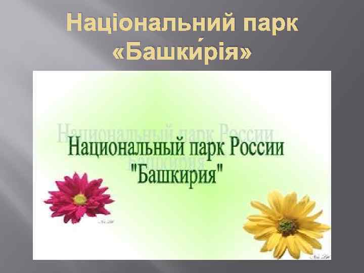 Національний парк «Башки рія» 