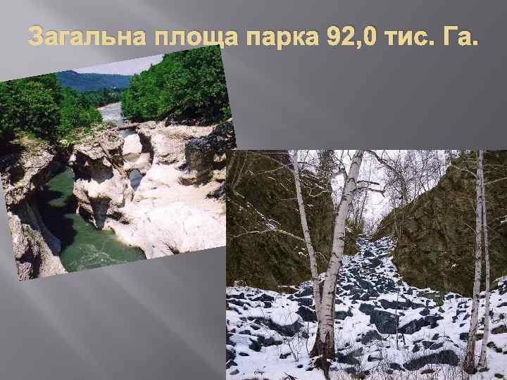 Загальна площа парка 92, 0 тис. Га. 