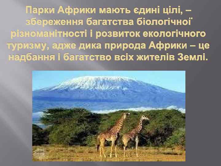 Парки Африки мають єдині цілі, – збереження багатства біологічної різноманітності і розвиток екологічного туризму,