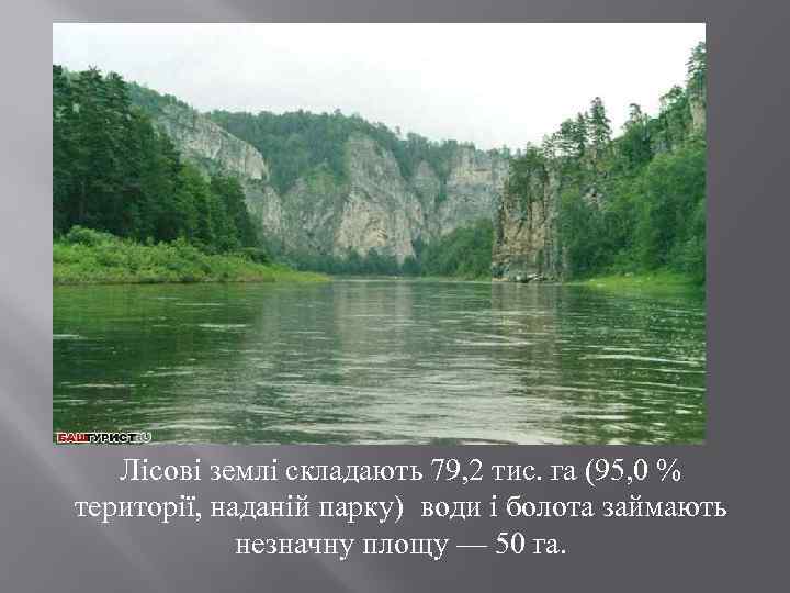 Лісові землі складають 79, 2 тис. га (95, 0 % території, наданій парку) води