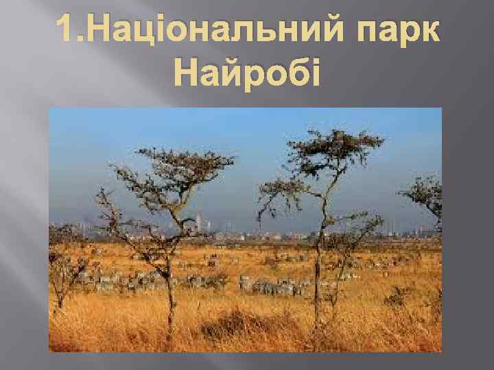 1. Національний парк Найробі 