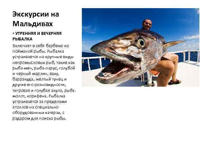 Экскурсии на Мальдивах • УТРЕННЯЯ И ВЕЧЕРНЯЯ РЫБАЛКА Включает в себя барбекю из пойманой