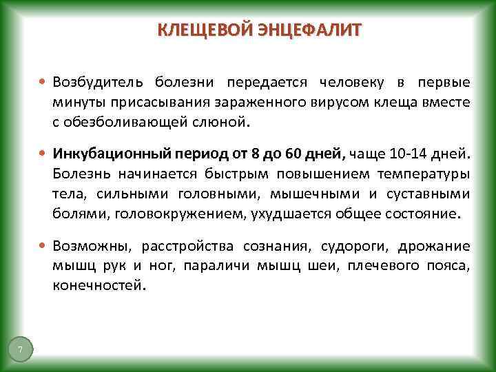 КЛЕЩЕВОЙ ЭНЦЕФАЛИТ Возбудитель болезни передается человеку в первые минуты присасывания зараженного вирусом клеща вместе