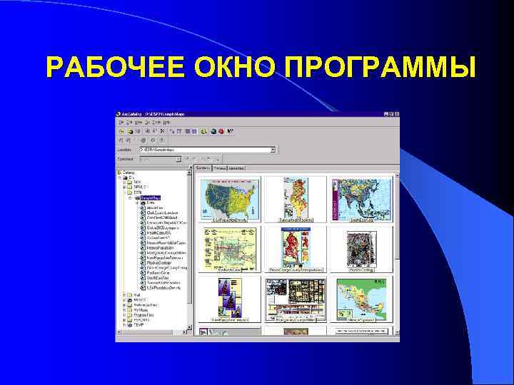 РАБОЧЕЕ ОКНО ПРОГРАММЫ 