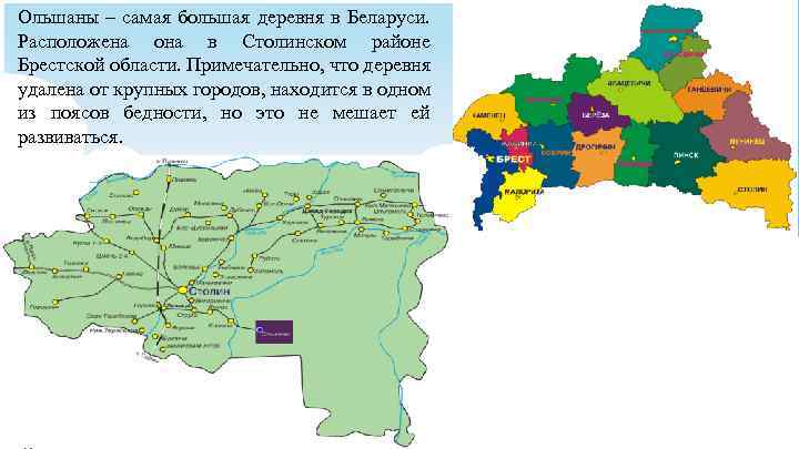 Ольшаны – самая большая деревня в Беларуси. Расположена она в Столинском районе Брестской области.