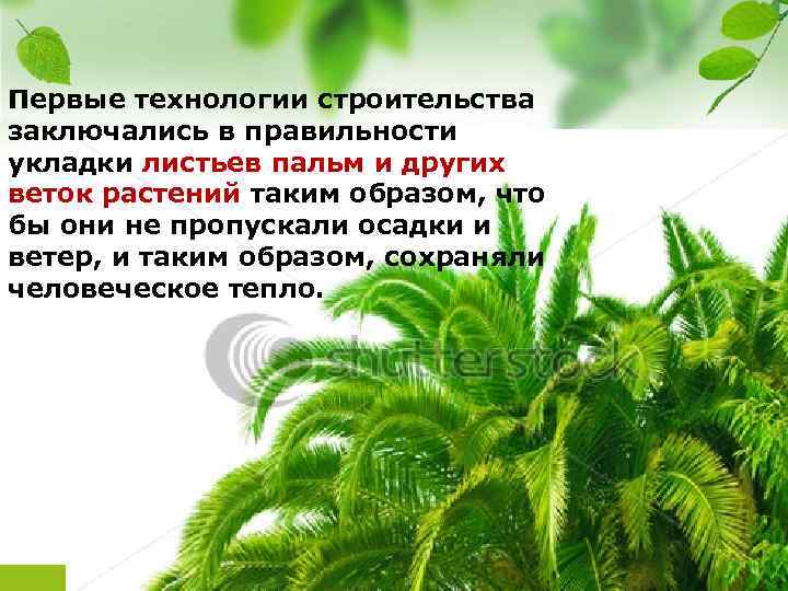 Первые технологии строительства заключались в правильности укладки листьев пальм и других веток растений таким
